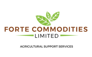 Forte Commodities Ltd
